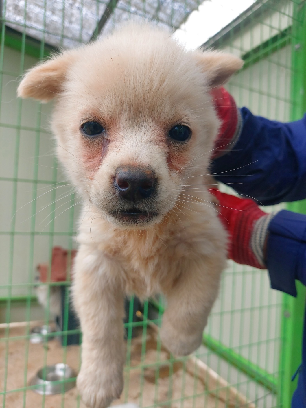 전북말산업복합센터_445471202400207
